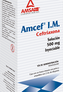 AMCEF I.M. Sol. Iny. c/1 FCO. AMP. 500 MG/2 ML.